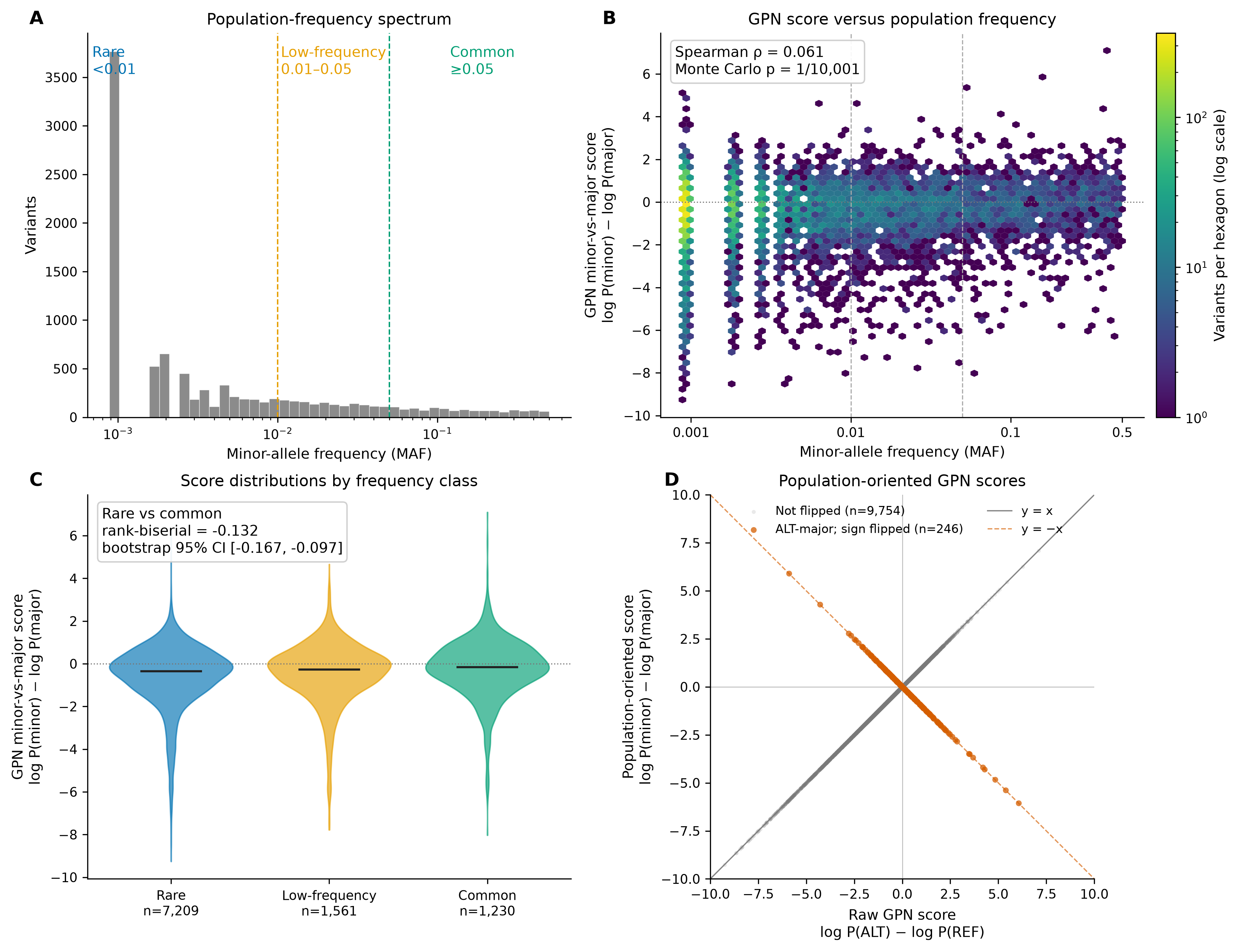 Four-panel PopGenLM Bench v0.2.0 overview showing the minor-allele-frequency spectrum, GPN score versus MAF, score distributions across frequency classes, and population-oriented score transformation