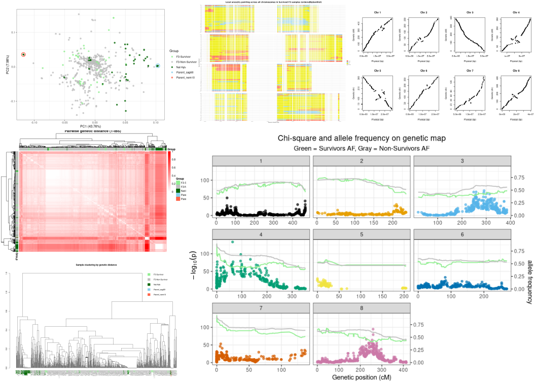 Genomic analyses of hybridisation and introgression