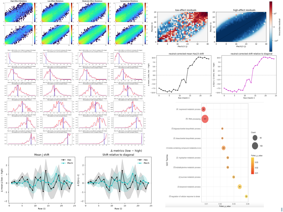 Visual summary of temporal population-genomic analyses