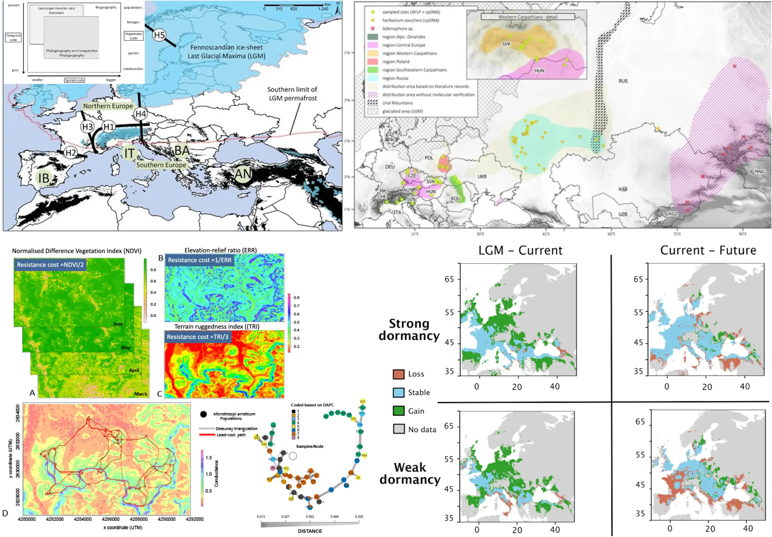 Plant climate adaptation and seed dormancy research