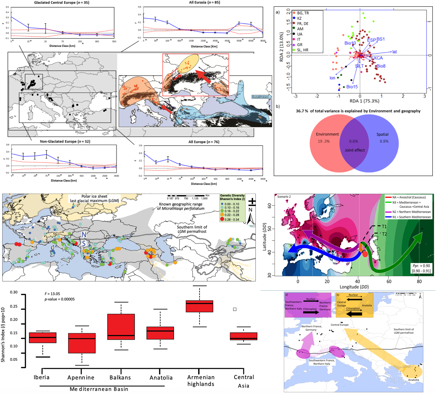 Phylogeographic patterns across Eurasia and North Africa